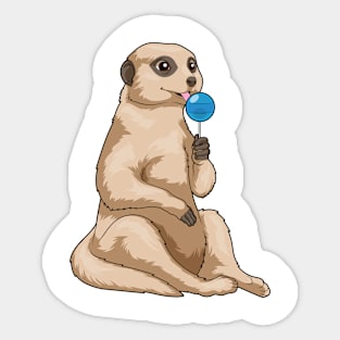 Meerkat Lollipop Sticker